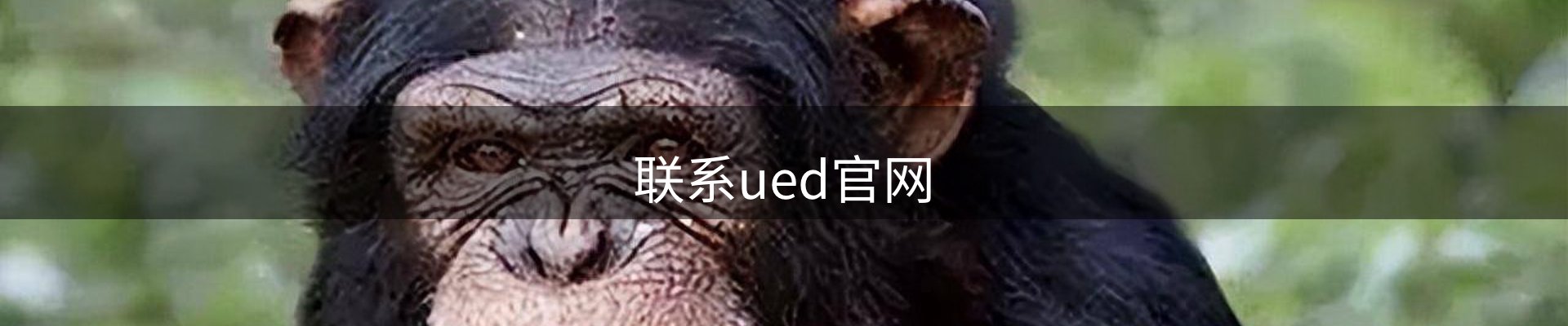 联系ued官网